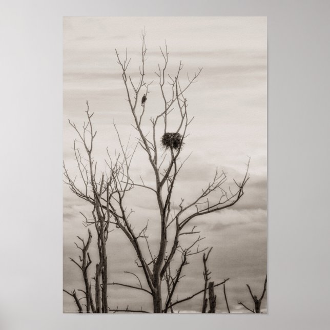 Poster Attente de la vie (Devant)