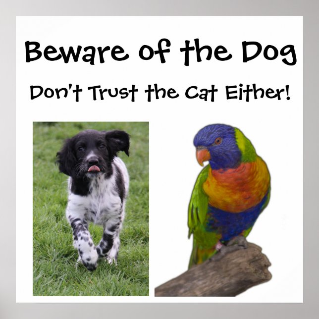 Poster Attention au chien. Ne faites pas confiance au cha (Devant)