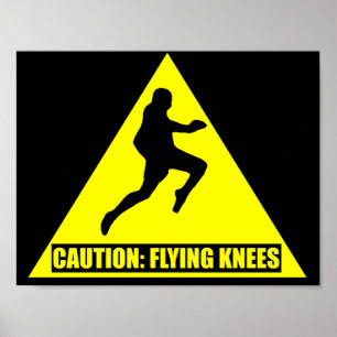 Poster Attention : MIXED MARTIAL ART des genoux volants /
