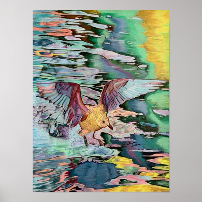 Poster Atterrissage de mouette sur le lac Candlewood Art  (Devant)