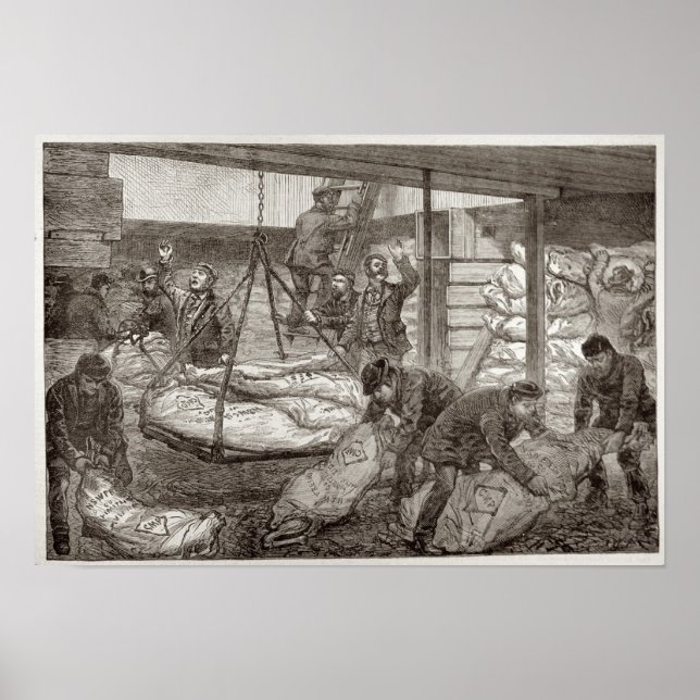 Poster Atterrissage de viande australienne congelée (Devant)