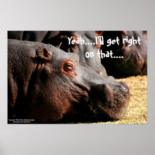 Poster Attitude d'hippopotame "que je deviendrai exact
