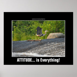 Poster ATTITUDE EST TOUT GRAND Héron Bleu & Chutes