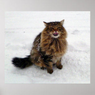 Poster Attraper un flocon de neige