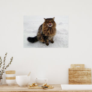 Poster Attraper un flocon de neige