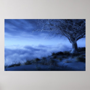 Poster Au bord du monde (hiver)