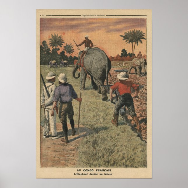 Poster Au Congo français, l'éléphant s'est entraîné à lab (Devant)
