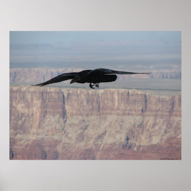 Poster Au-dessus de tout (Devant)