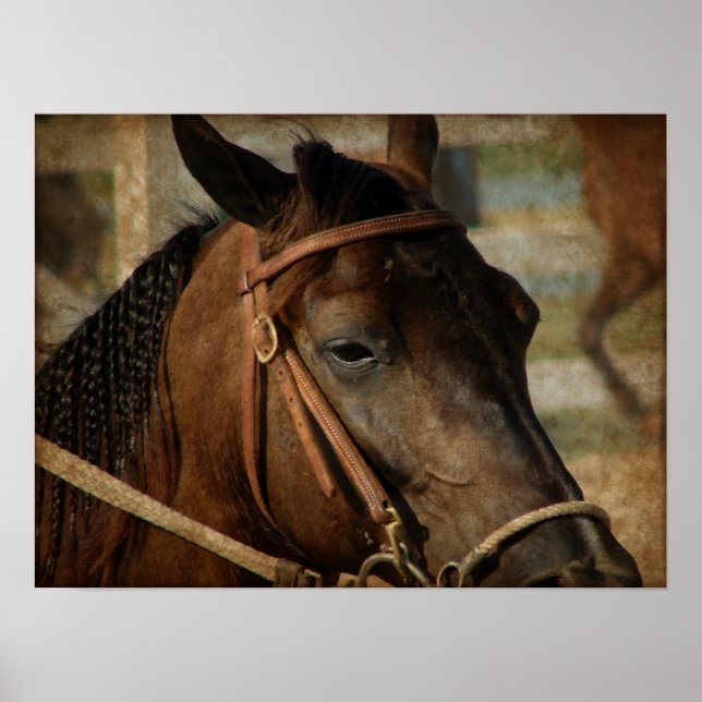 Poster Au Horse Show (Devant)