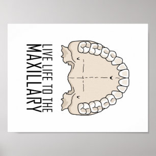 Poster "Au Maxillaire"