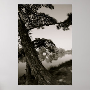 Poster Au parc