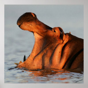Poster Au portrait d'hippopotame de crépuscule