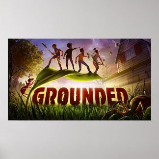 Poster Au sol