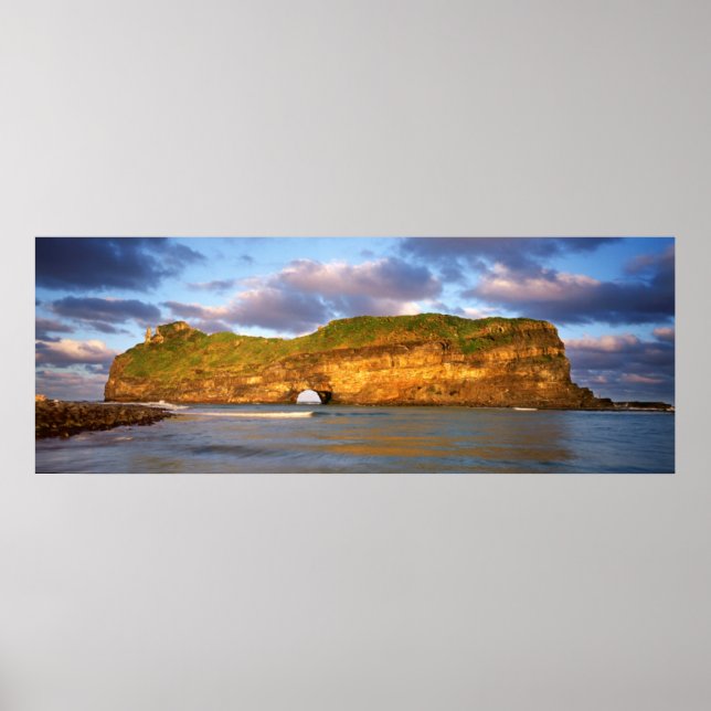 Poster Au Wall On The Wild Coast (Devant)