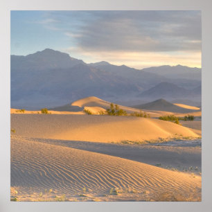 Poster Aube de désert