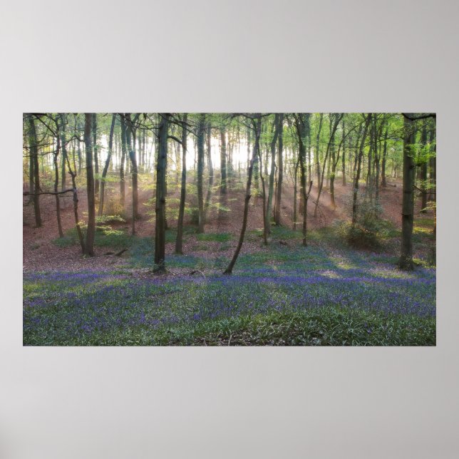 Poster Aube du printemps (Devant)