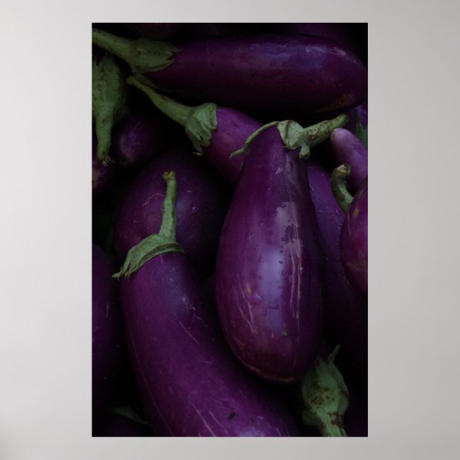 Poster aubergine violette (Devant)