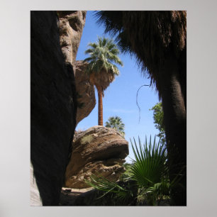 Poster Augmentant en canyon indien, Palm Springs, CA,