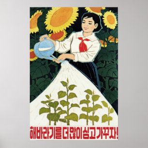 Poster Augmentons encore les tournesols ! Agriculture nor