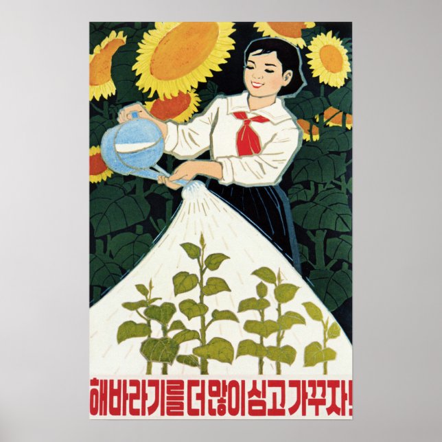 Poster Augmentons Plus De Fleurs De Soleil ! Agriculture  (Devant)