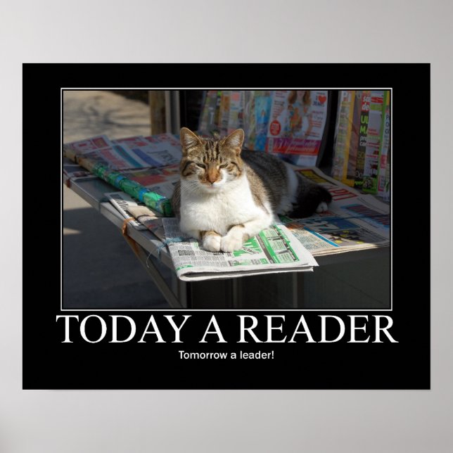 Poster Aujourd'hui, un lecteur Cat Artwork (Devant)