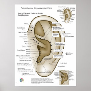 Poster Auriculothérapie Acupuncture de l'oreille