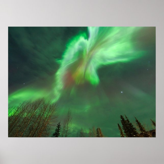 Poster Aurora Borealis Northern Lights | Fairbanks (Devant)