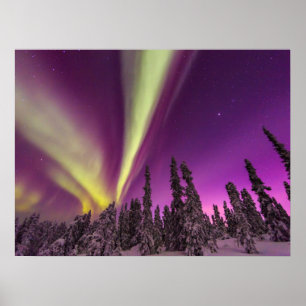 Poster Aurora Borealis Northern Lights Fairbanks Alaska