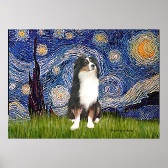 Poster Aussie Shep (Tri2) - Nuit étoilée (Devant)