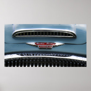 Poster Austin-Healey