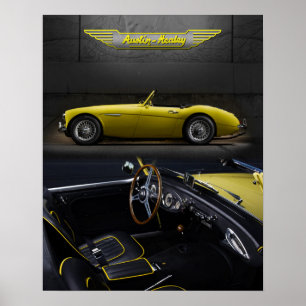 Poster Austin-Healey