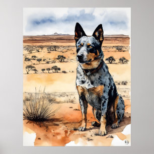 Poster Australian Cattle Dog - Chien Art Imprimer