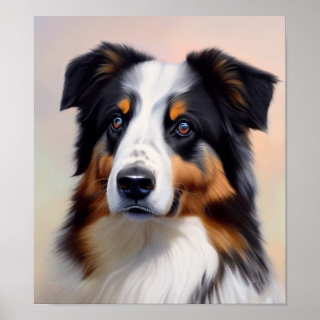 Poster Australian Shepherd (Devant)