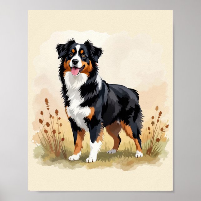 Poster Australian Shepherd Black Tricolor Aussie Dog (Devant)