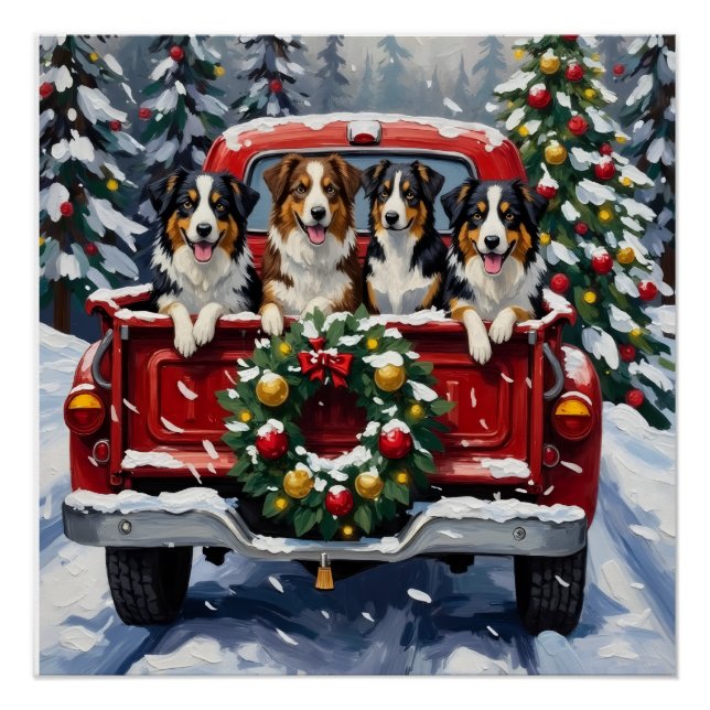 Poster Australian Shepherd Christmas Red Truck Holiday (Devant)