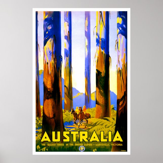 Poster Australie, grands arbres de Marysville, Victoria (Devant)