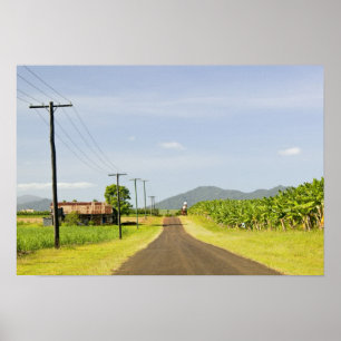 Poster Australie, Queensland, North Coast, Babinda.