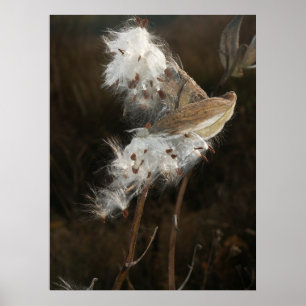 Poster Autant en emporte le vent