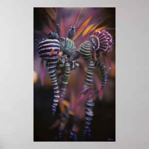 Poster Auténtico
