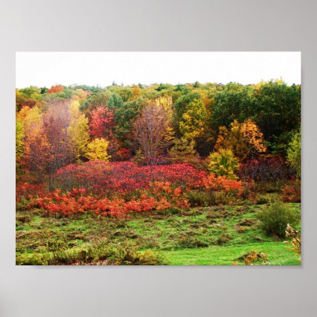 POSTER AUTOMNE (Devant)