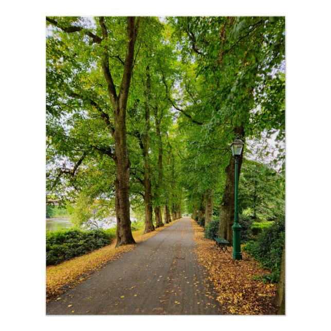 Poster Automne (Devant)