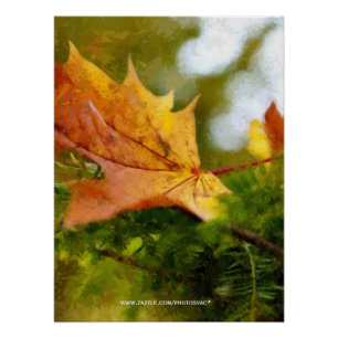 Poster Automne
