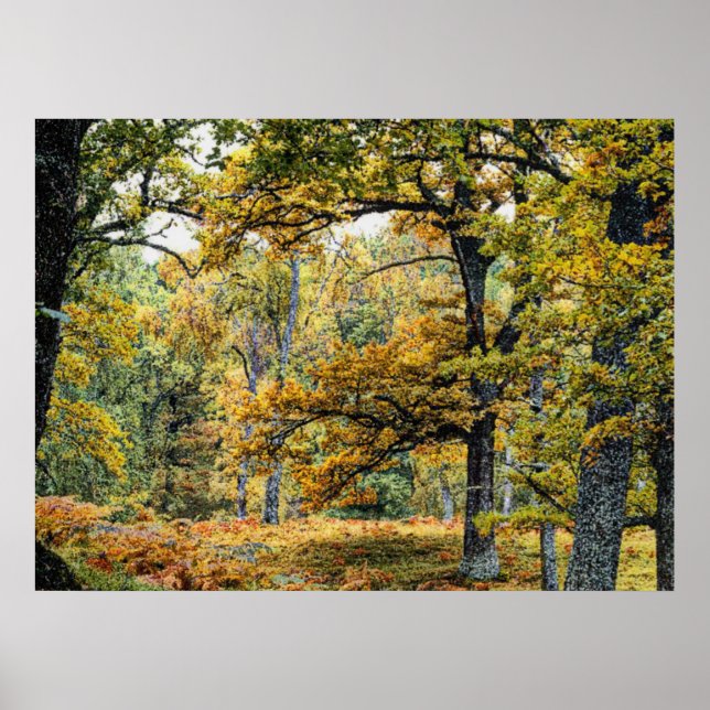 Poster Automne 34 (Devant)