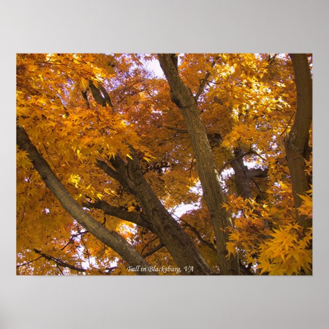Poster Automne à Blacksburg, Virginie (Devant)