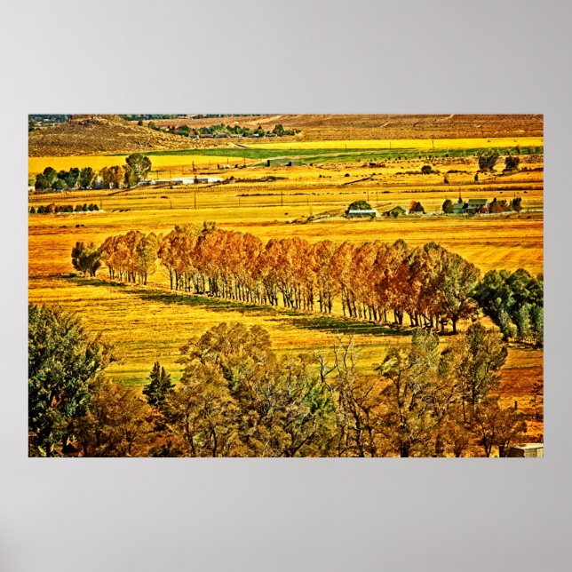 Poster Automne À Carson Valley (Devant)