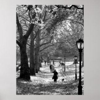 Poster Automne à Central Park 06 25