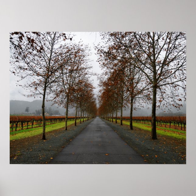 Poster Automne à Sainte-Hélène (Devant)