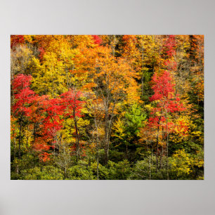 Poster Automne à Sims Pond North Carolina, Blue Ridge