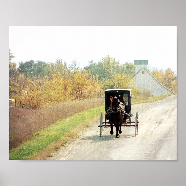 Poster Automne Amish Horse et Buggy (Devant)