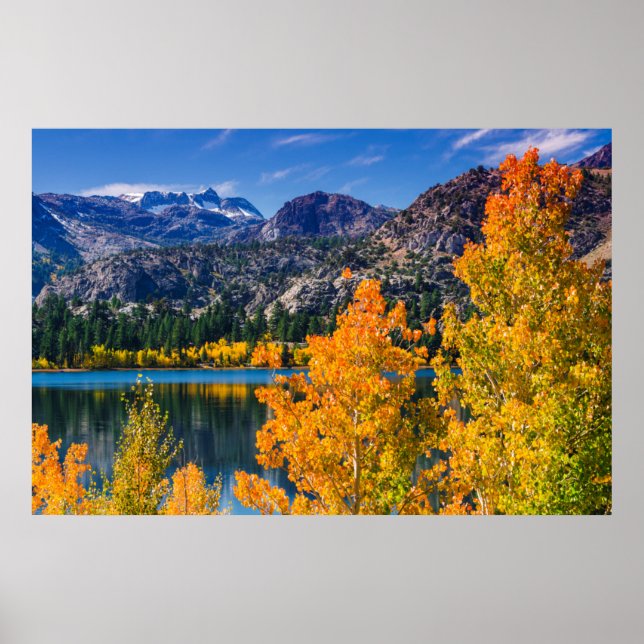 Poster Automne autour de June Lake, Californie (Devant)